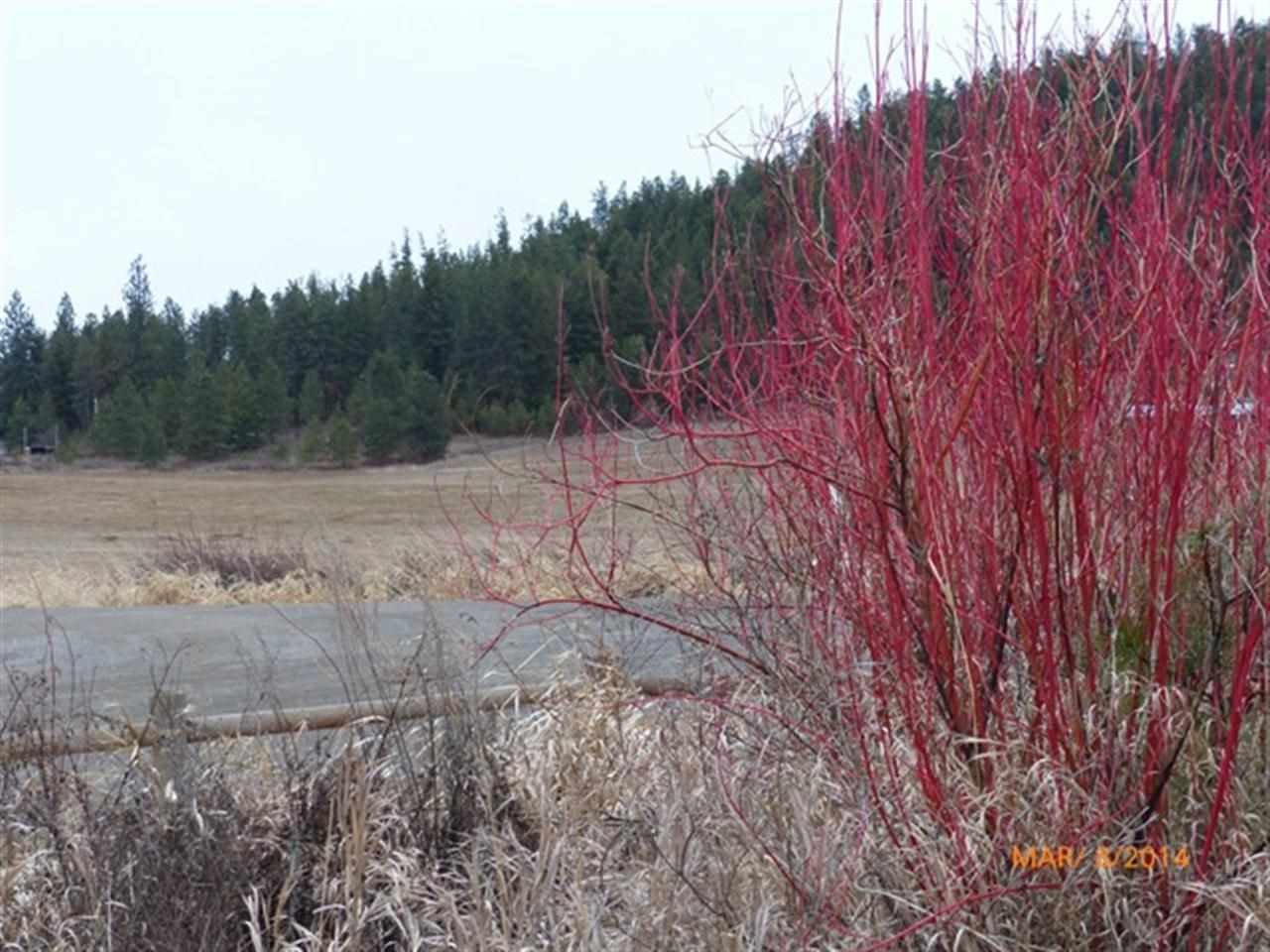 0 South Keeney & Washington Road Spokane, WA 99224 - Photo 4 of 5 Gallery Image 4