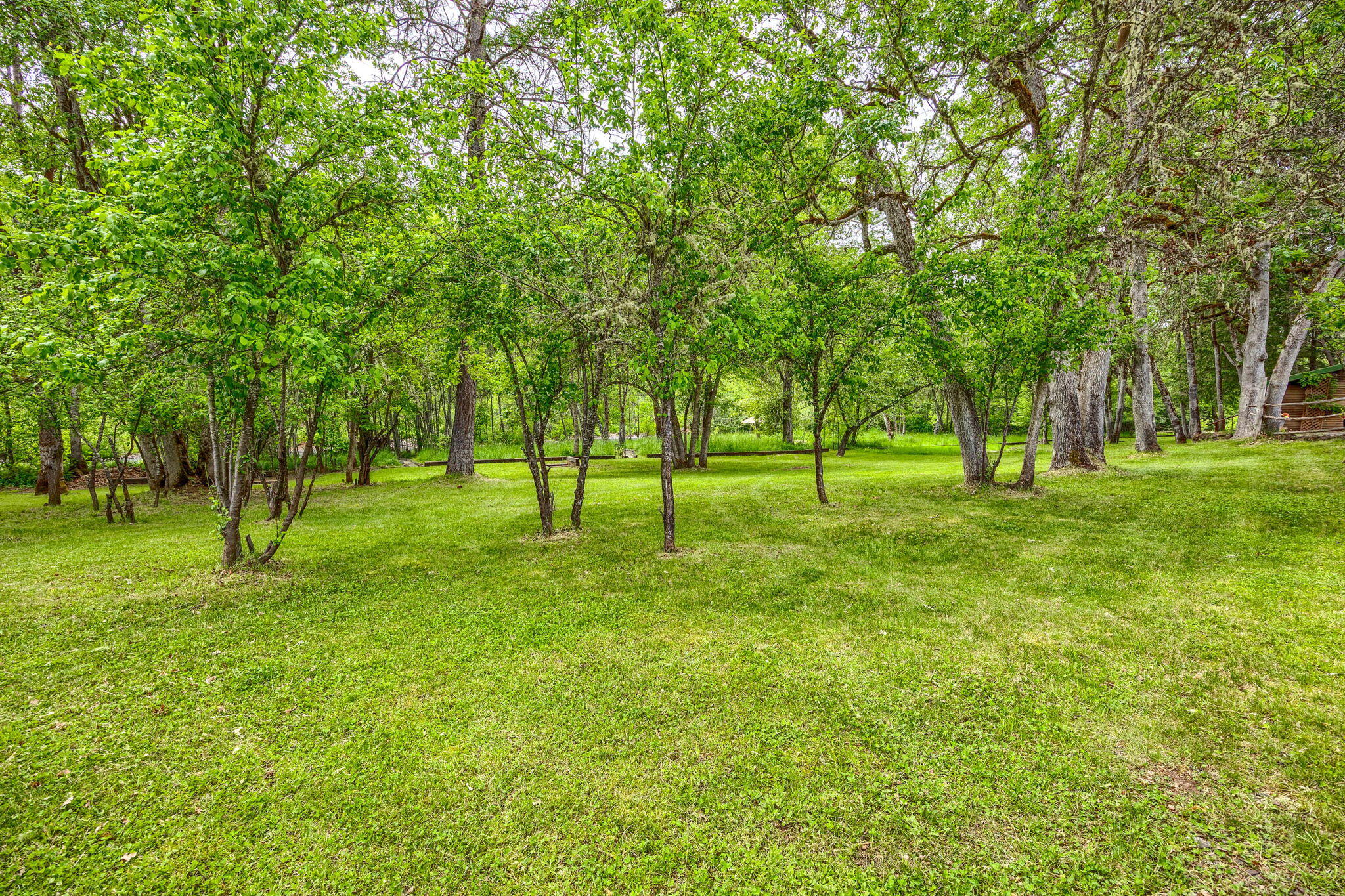 1250 Netherlands Road Trail, OR 97541 - Photo 44 of 50 44-Meadow