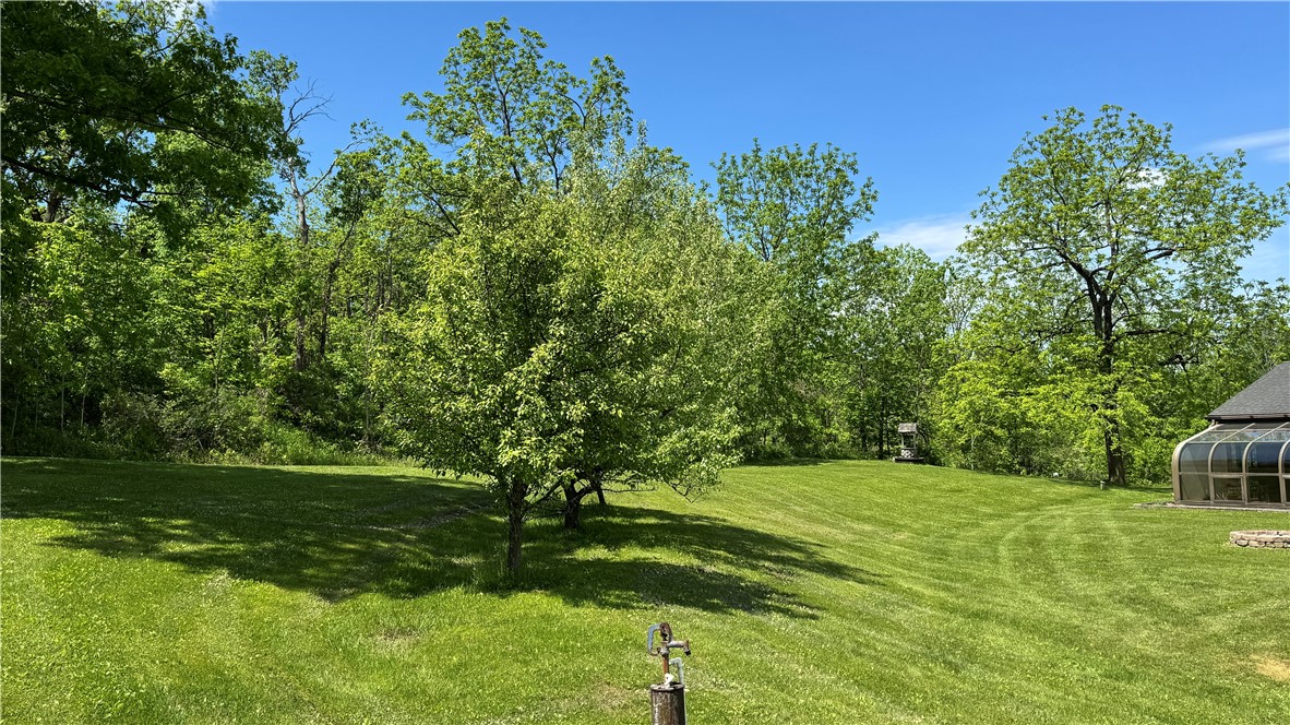 4482 Satterly Hill Road Hector, NY 14818 - Photo 39 of 48