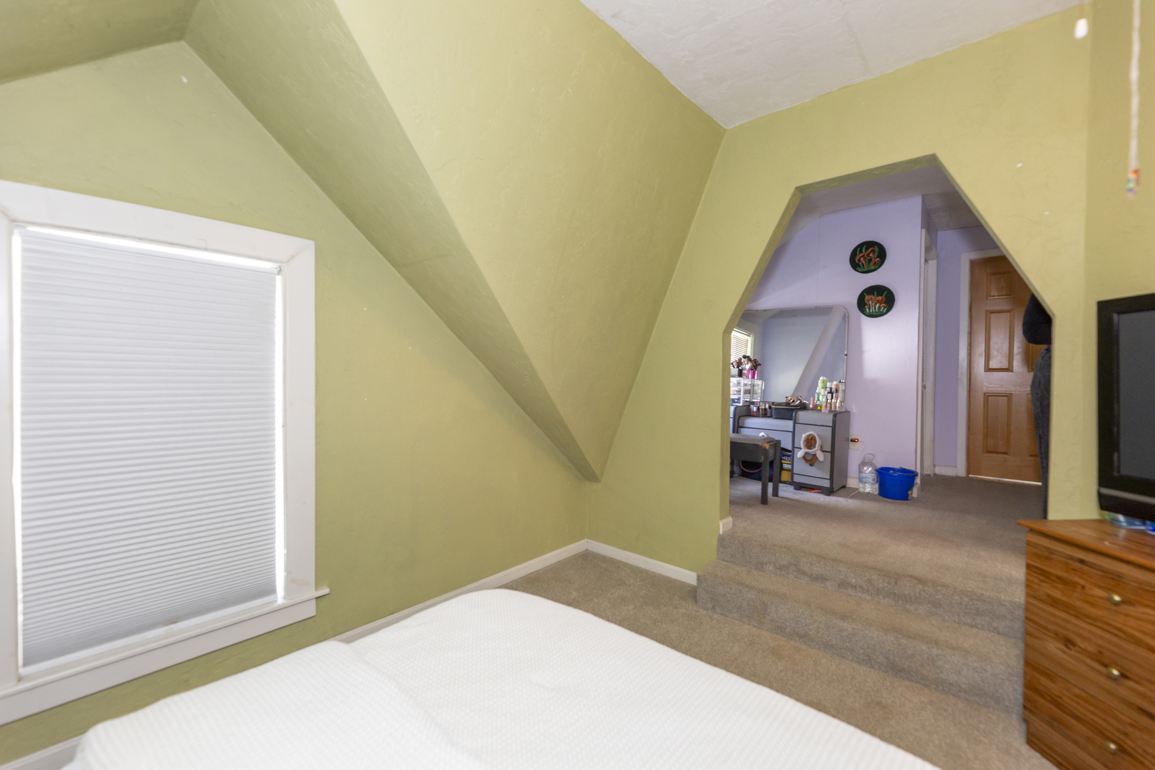 249 West Graham Street Dixon, IL 61021 - Photo 13 of 38
