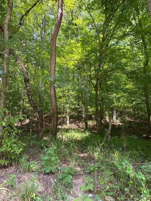 606 Mullins Cove Road Whitwell, TN 37397 - Photo 1 of 9 Gallery Image 1