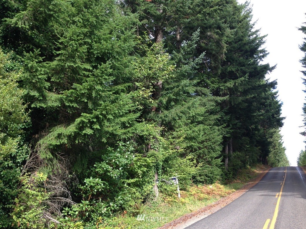 17 Rouse Road Southwest Longbranch, WA 98351 - Photo 3 of 3