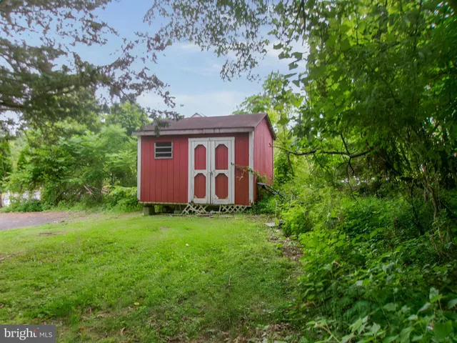 a backyard of a house with plants and large tree