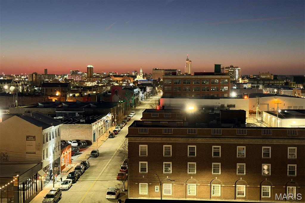 2647 Locust Street, Unit 2R St. Louis, MO 63103 - Photo 24 of 29