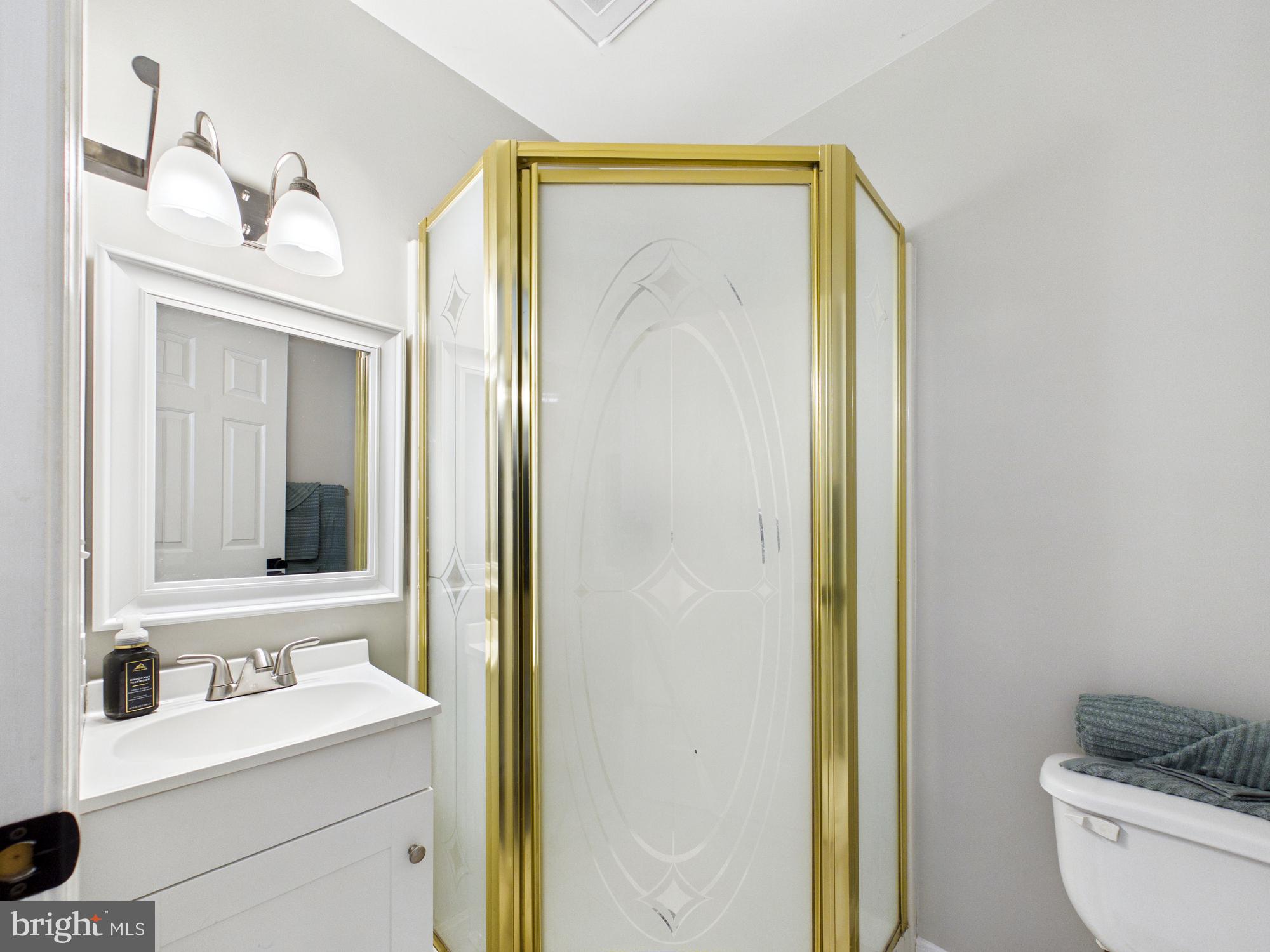 25095 Trunk Line Road Henderson, MD 21640 - Photo 19 of 39 Elegant bathroom with golden accents.