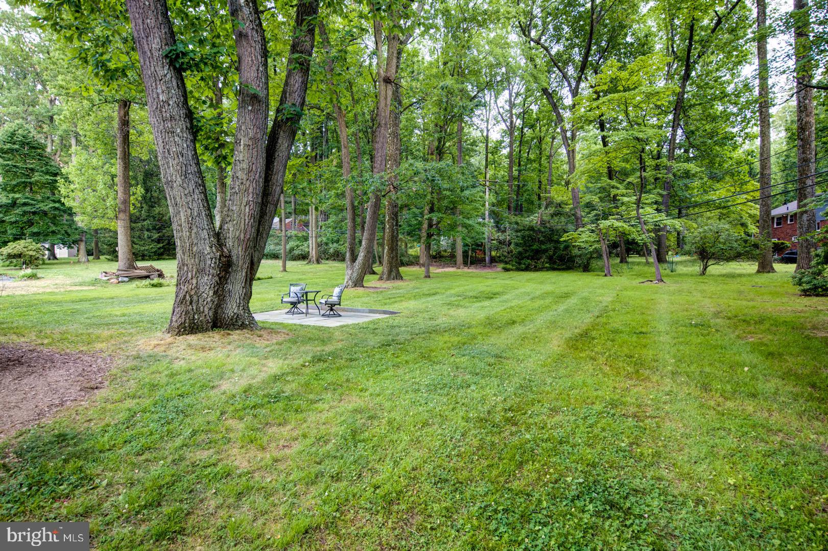 696 Mallard Road Wayne, PA 19087 - Photo 4 of 23 Level back yad