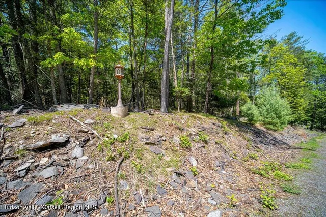 a view of a yard with trees