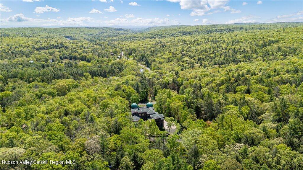 33 Mamoud Hills Road Kingston, NY 12401 - Photo 12 of 12 an aerial view of residential houses with outdoor space and trees