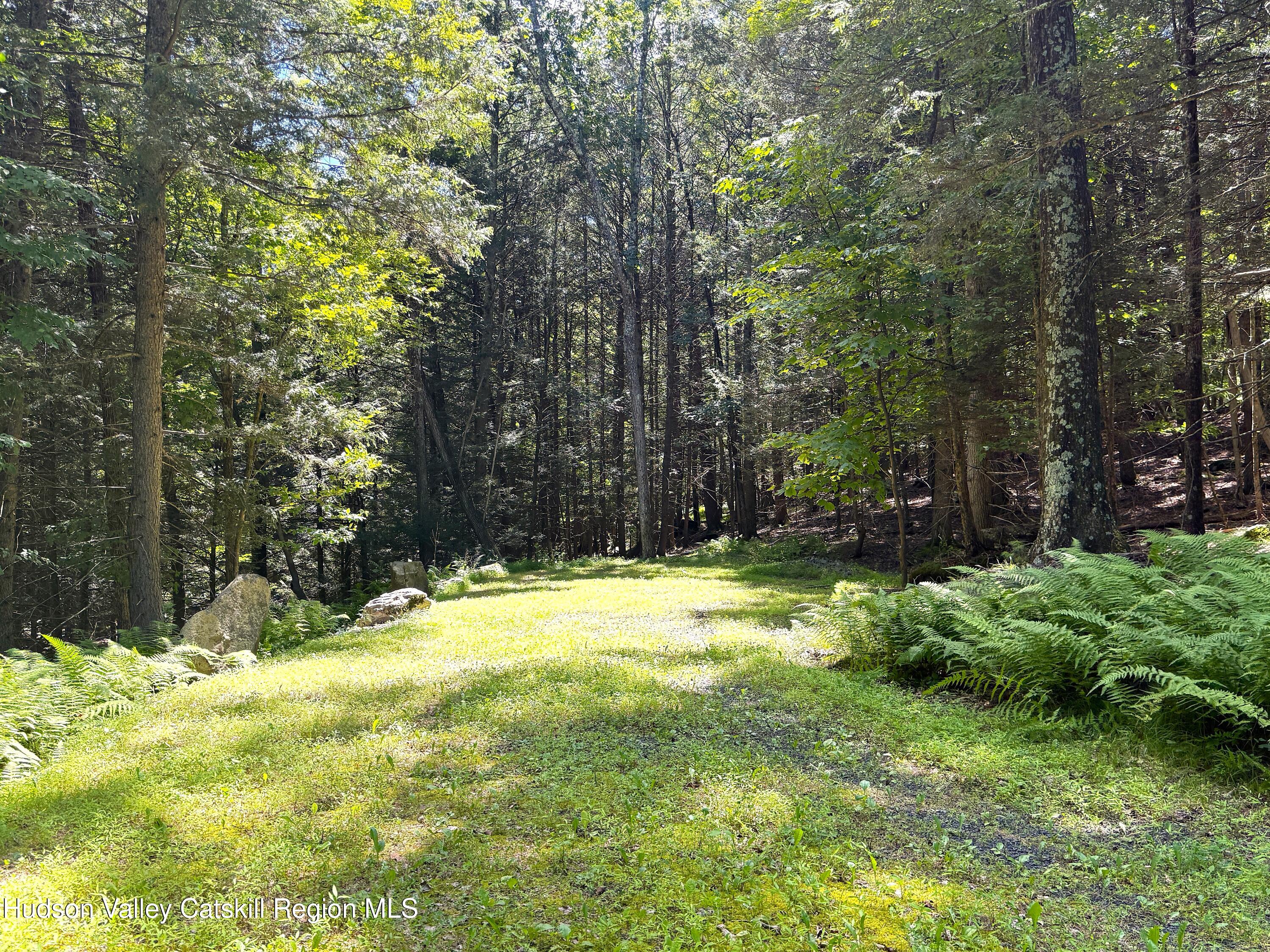 33 Mamoud Hills Road Kingston, NY 12401 - Photo 5 of 12 a view of swimming pool with trees in the background