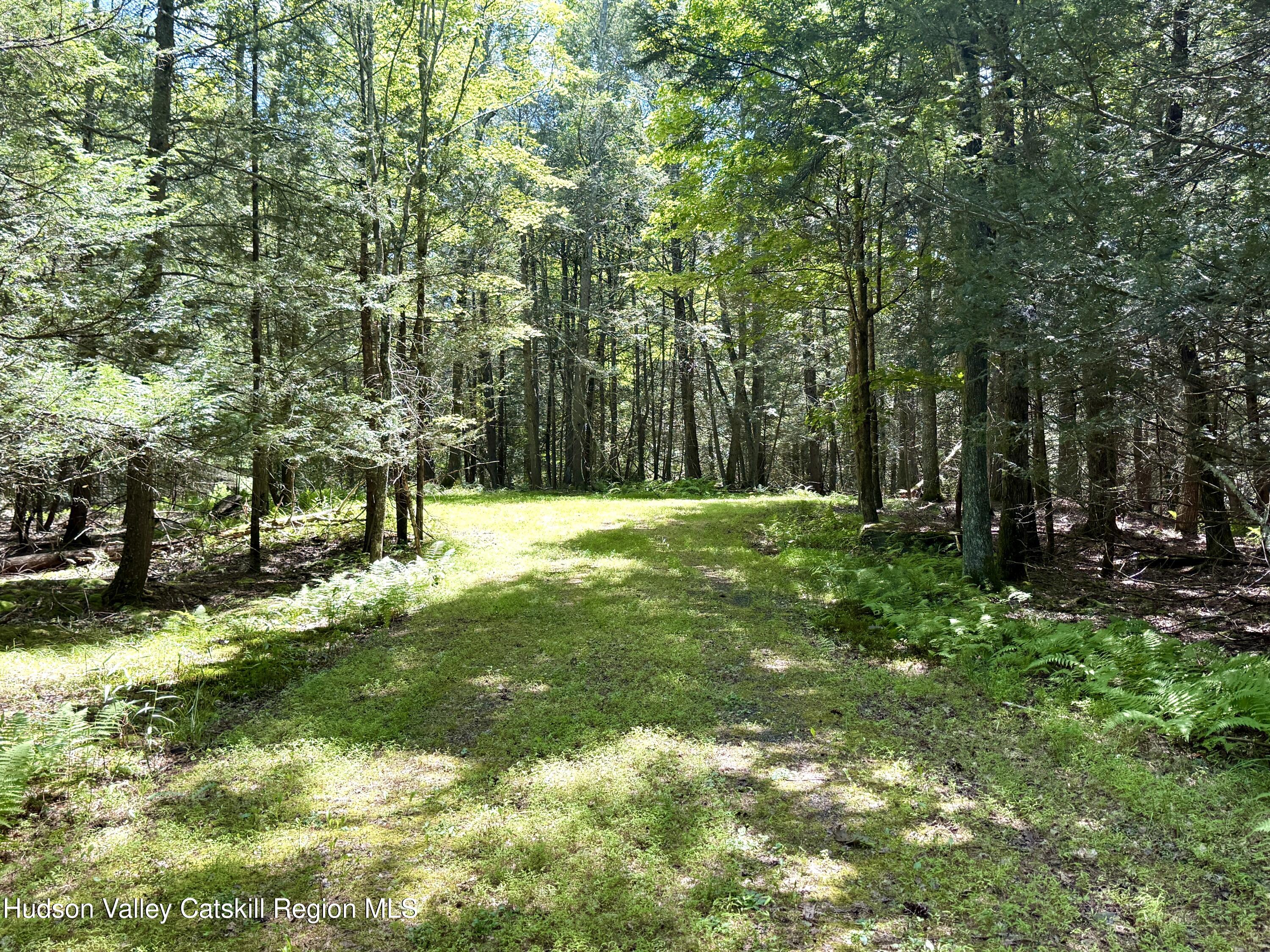 33 Mamoud Hills Road Kingston, NY 12401 - Photo 6 of 12 a view of park