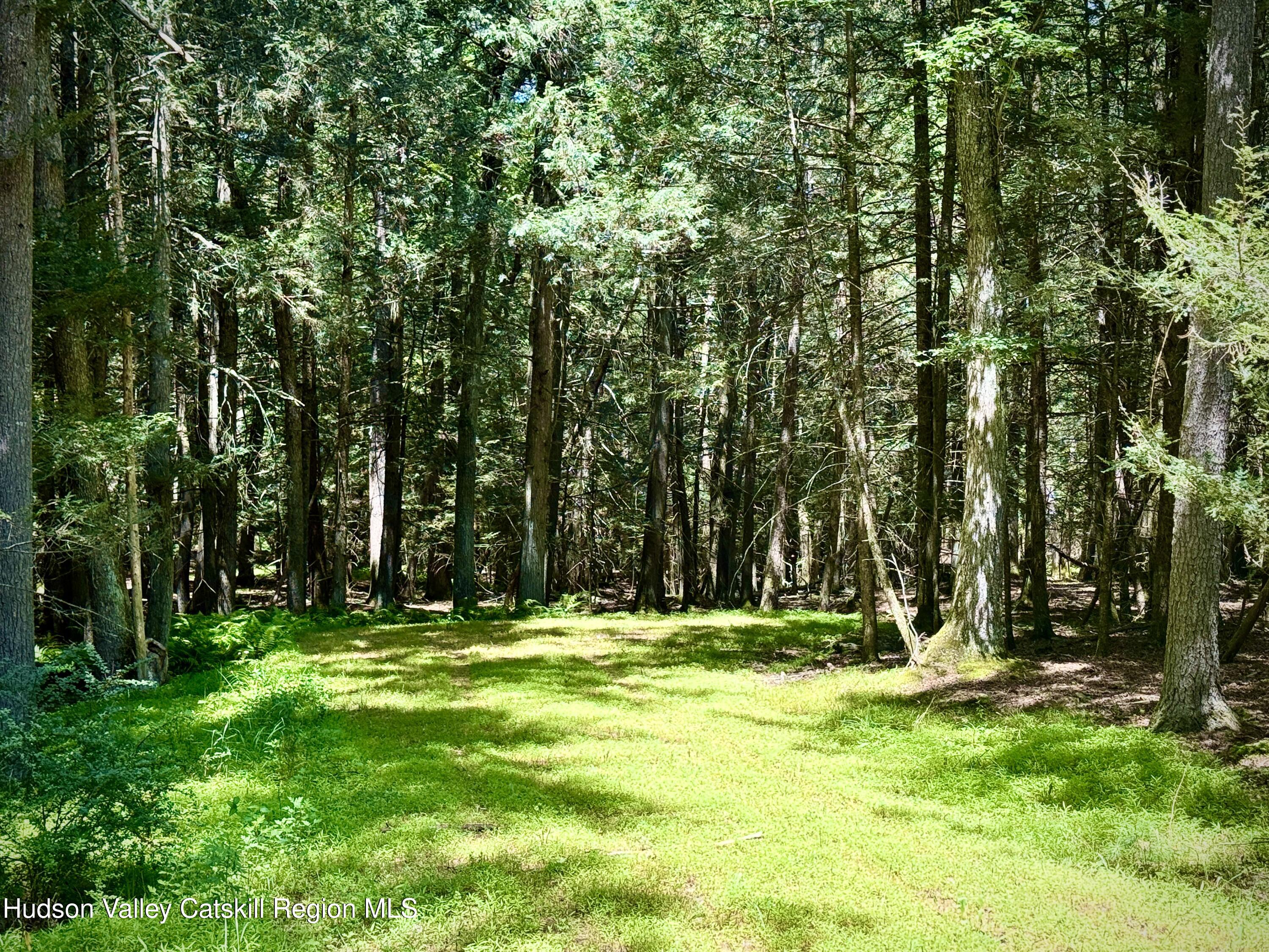 33 Mamoud Hills Road Kingston, NY 12401 - Photo 7 of 12 a view of outdoor space with a lake view