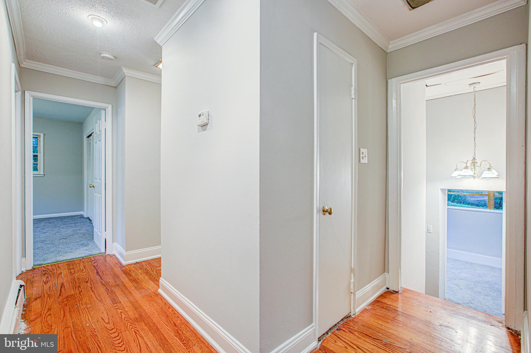 8410 Adelphi Road Hyattsville, MD 20783 - Photo 23 of 37 Gallery Image 23