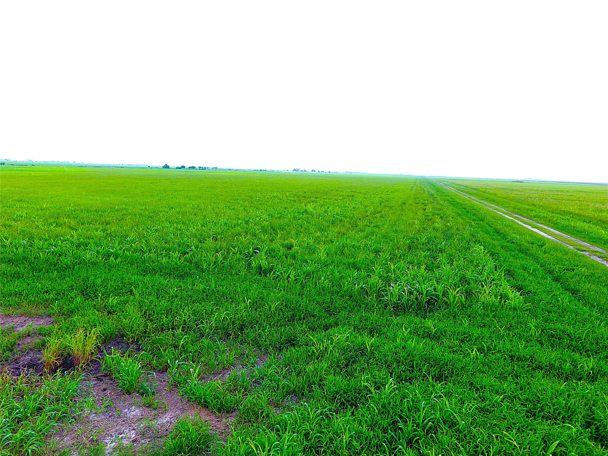768 Million Dollar Road Palacios, TX 77465 - Photo 13 of 49