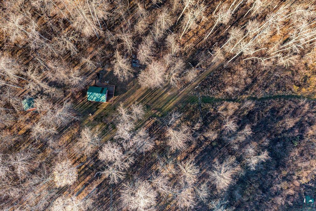 20663 Hardwood Loop Finlayson, MN 55735 - Photo 23 of 36 Two structures with green roofs nestled within a dense wooded area