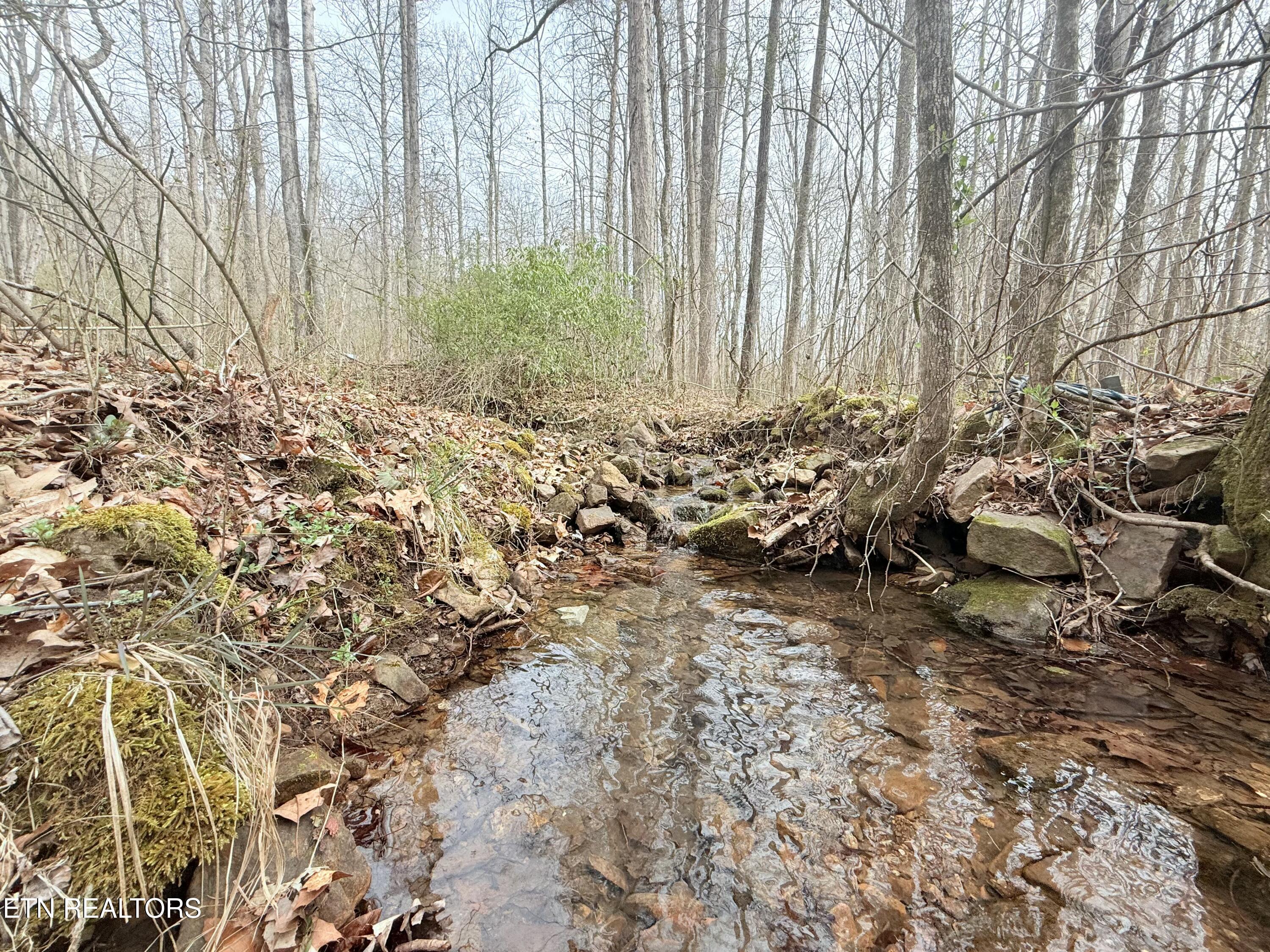 Bazel Road Harriman, TN 37748 - Photo 3 of 32 tempImageXMTdwF