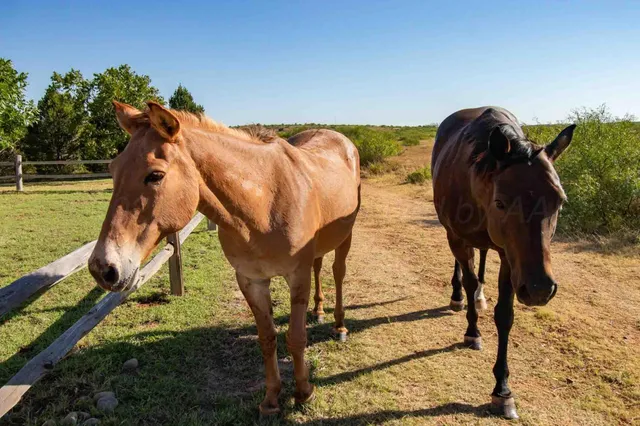 $5,839,250 | Reeves Ranch, Memphis, TX 79245