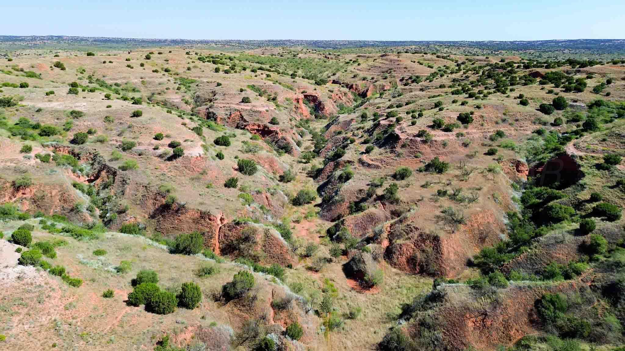 Reeves Ranch Memphis, TX 79245 - Photo 16 of 144 Reeves_Ranch-126