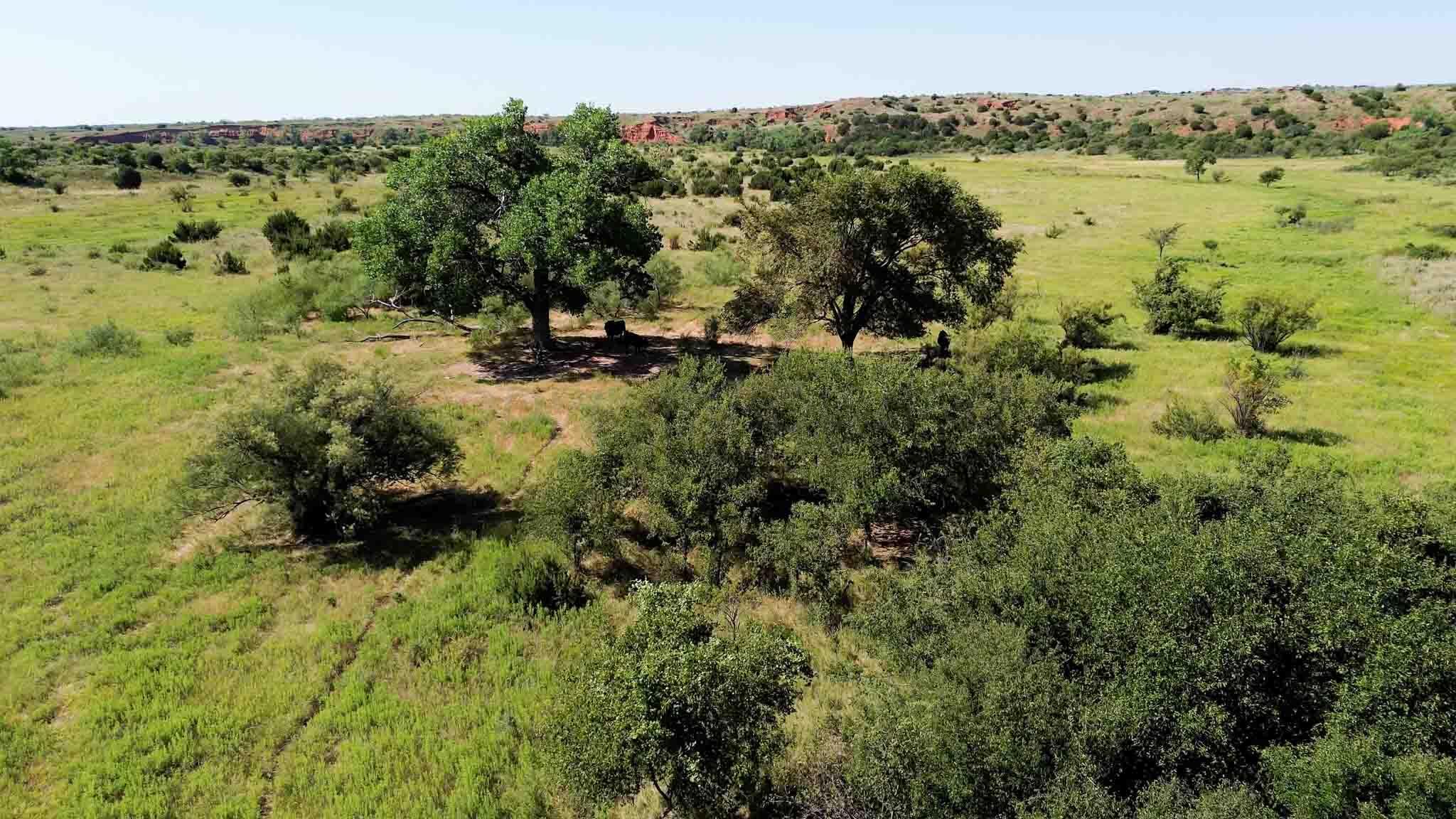 Reeves Ranch Memphis, TX 79245 - Photo 18 of 144 Reeves_Ranch-129