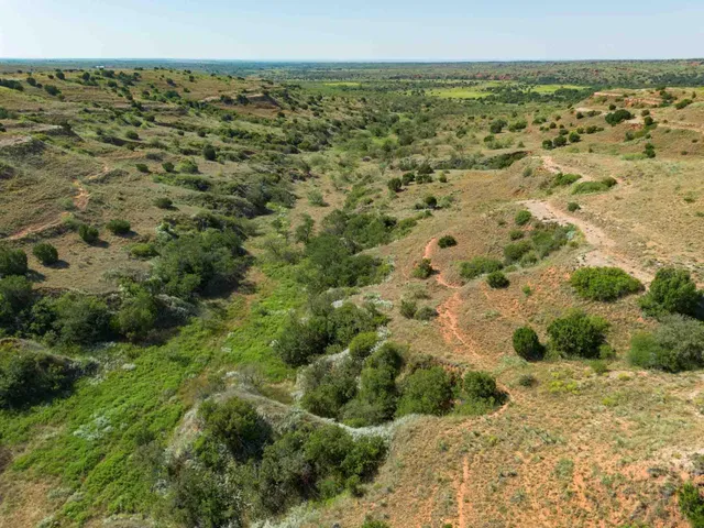 a view of a field with trees in the background