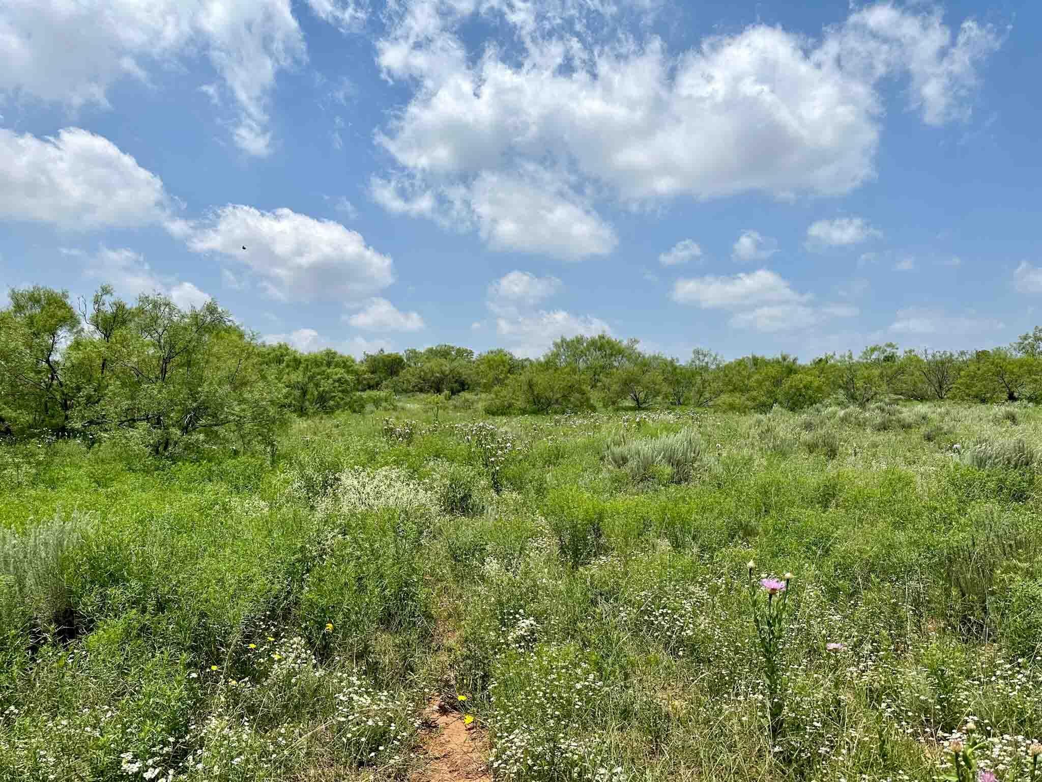 Reeves Ranch Memphis, TX 79245 - Photo 21 of 144 Reeves_Ranch-17