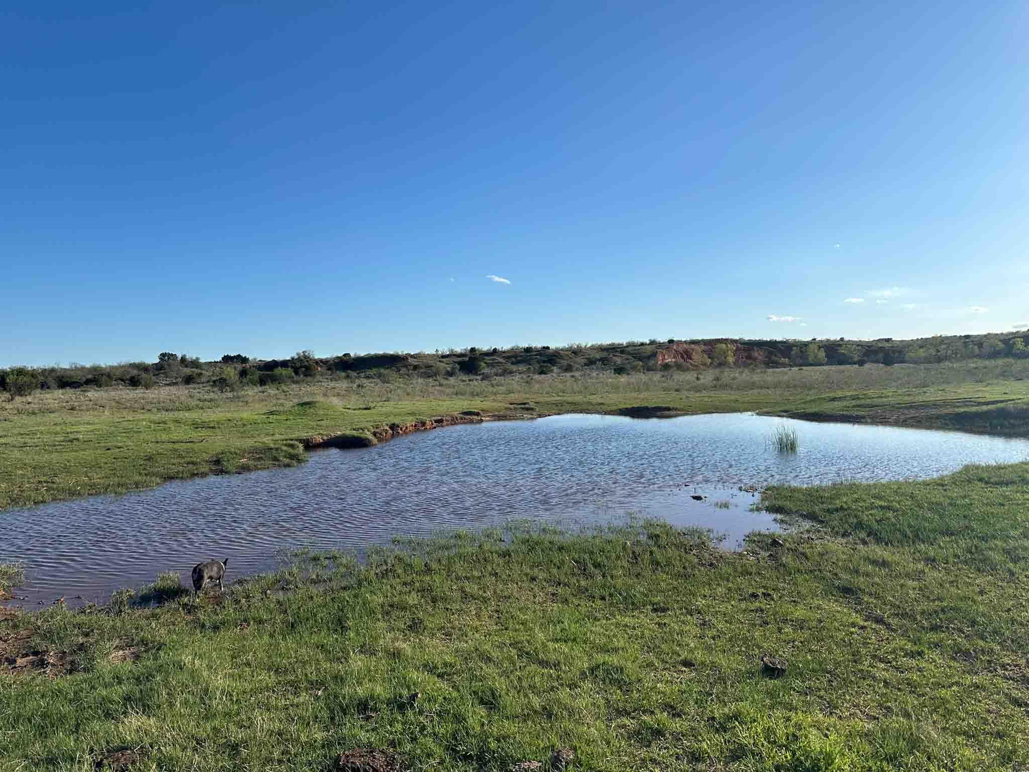 Reeves Ranch Memphis, TX 79245 - Photo 22 of 144 Reeves_Ranch-18