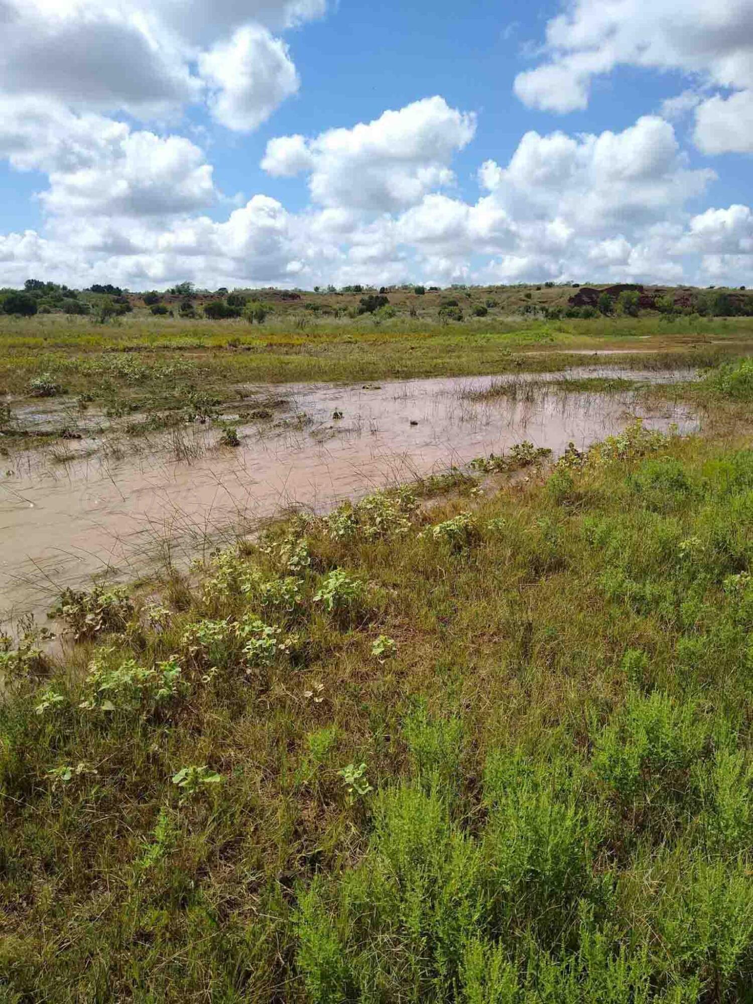 Reeves Ranch Memphis, TX 79245 - Photo 24 of 144 Reeves_Ranch-20
