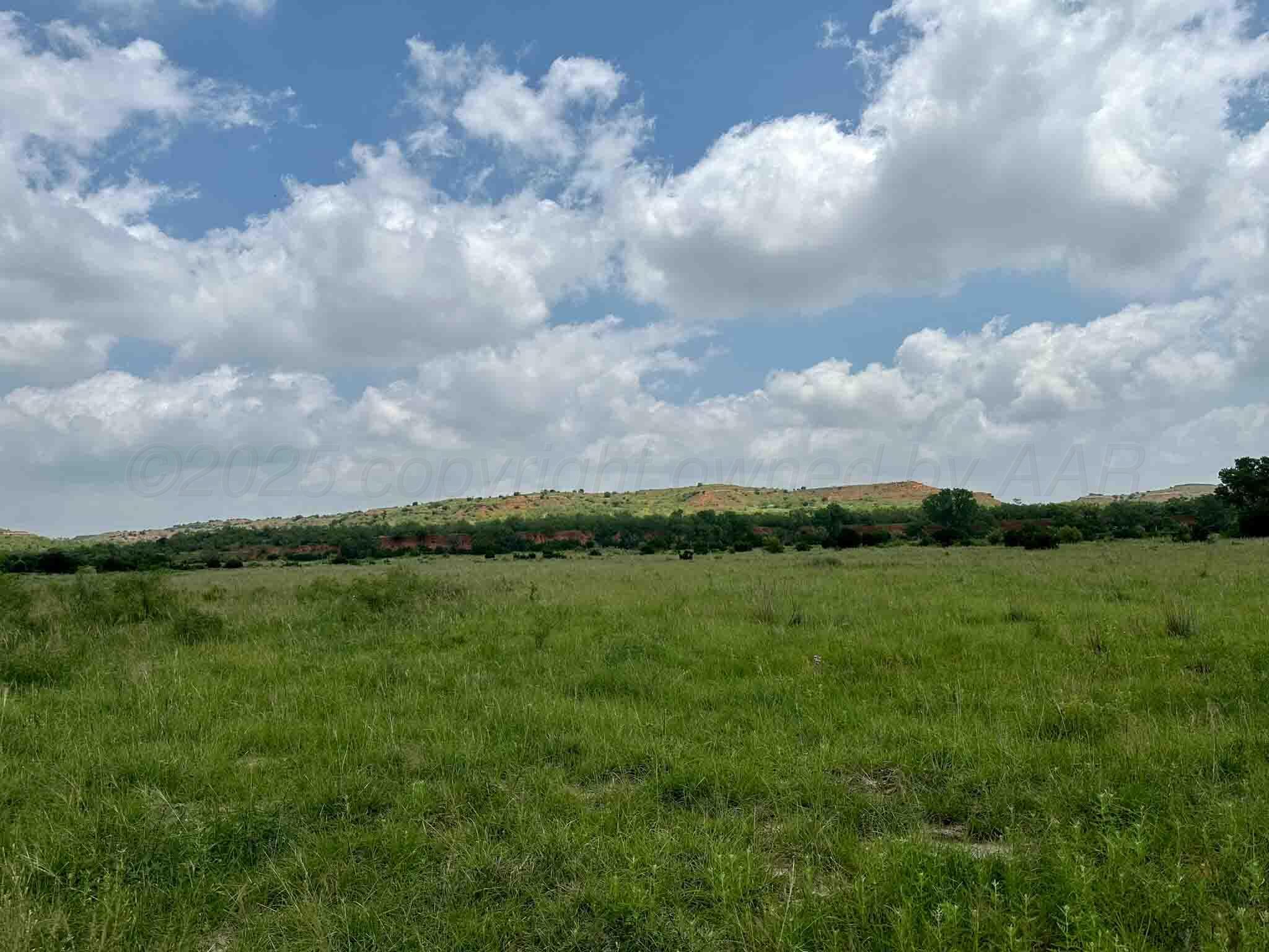Reeves Ranch Memphis, TX 79245 - Photo 26 of 144 Reeves_Ranch-16