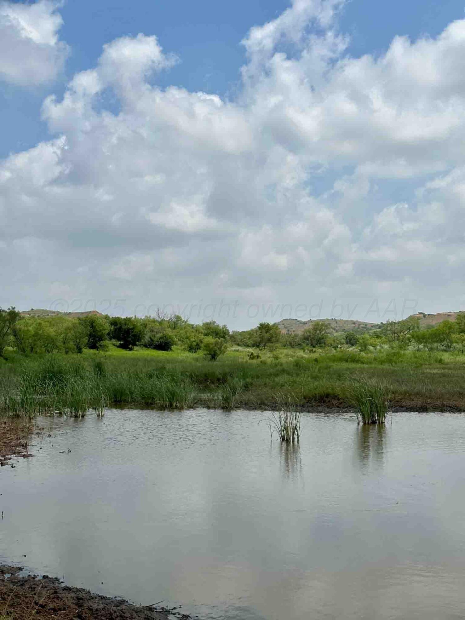 Reeves Ranch Memphis, TX 79245 - Photo 27 of 144 Reeves_Ranch-14