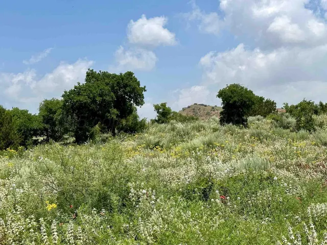 $5,839,250 | Reeves Ranch, Memphis, TX 79245