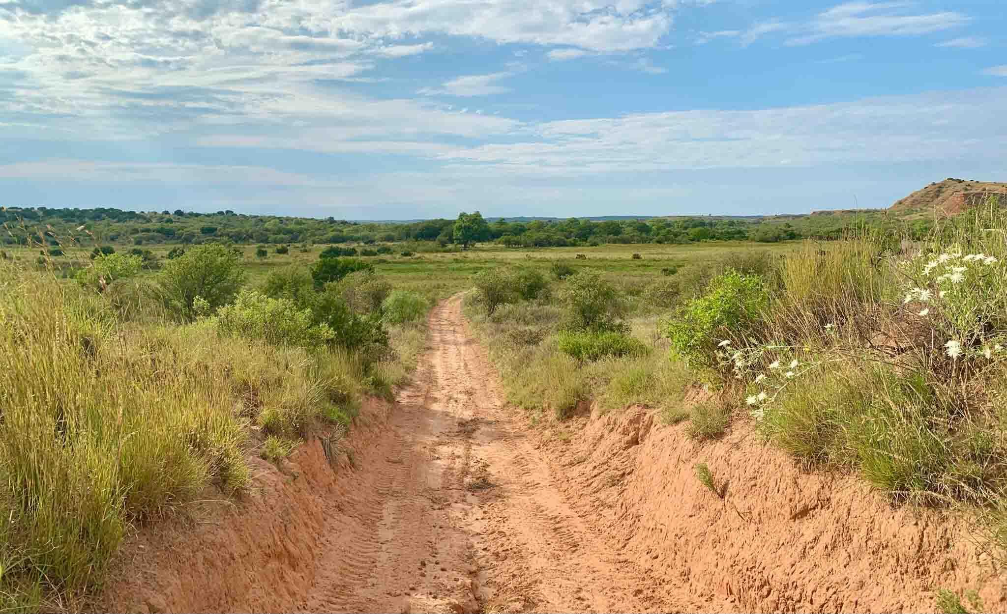 Reeves Ranch Memphis, TX 79245 - Photo 29 of 144 Reeves_Ranch-6