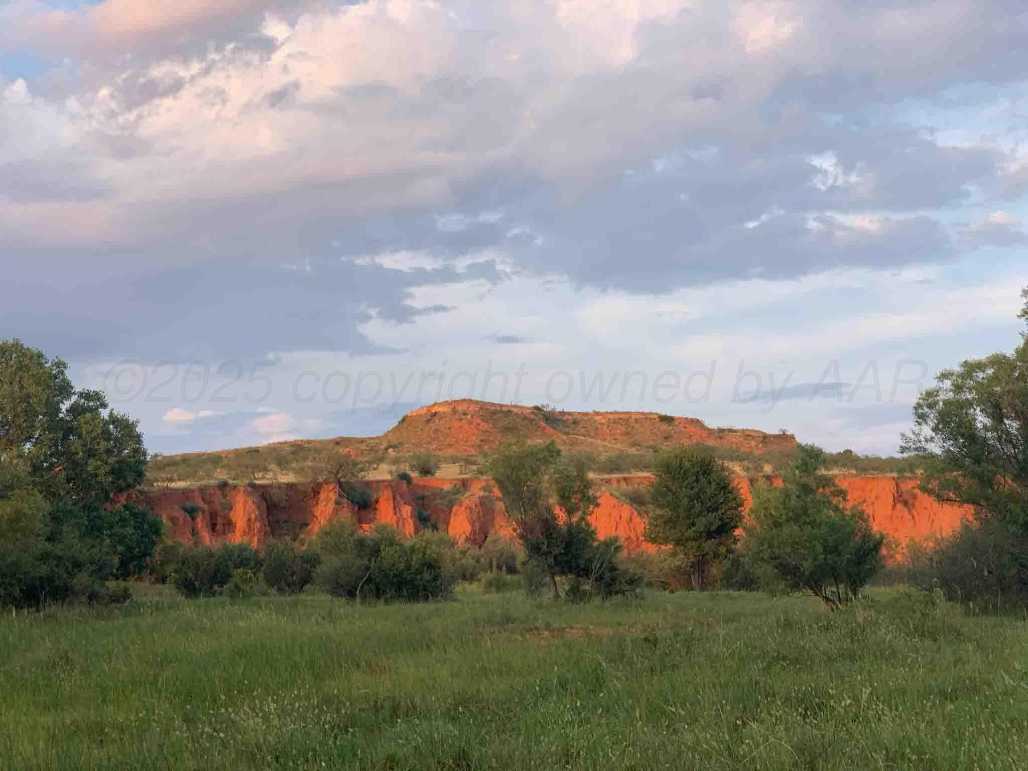 Reeves Ranch Memphis, TX 79245 - Photo 30 of 144 Reeves_Ranch-3