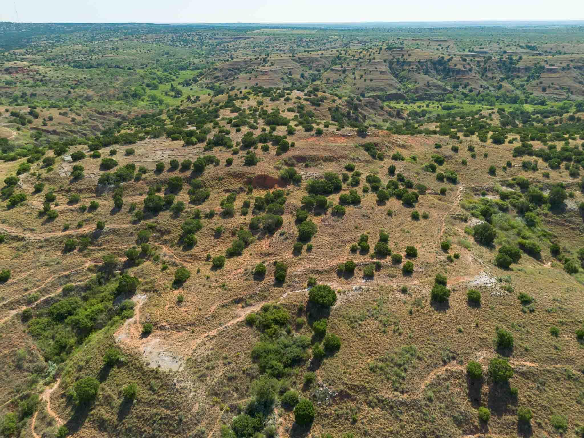 Reeves Ranch Memphis, TX 79245 - Photo 3 of 144 a view of a field with trees in the background
