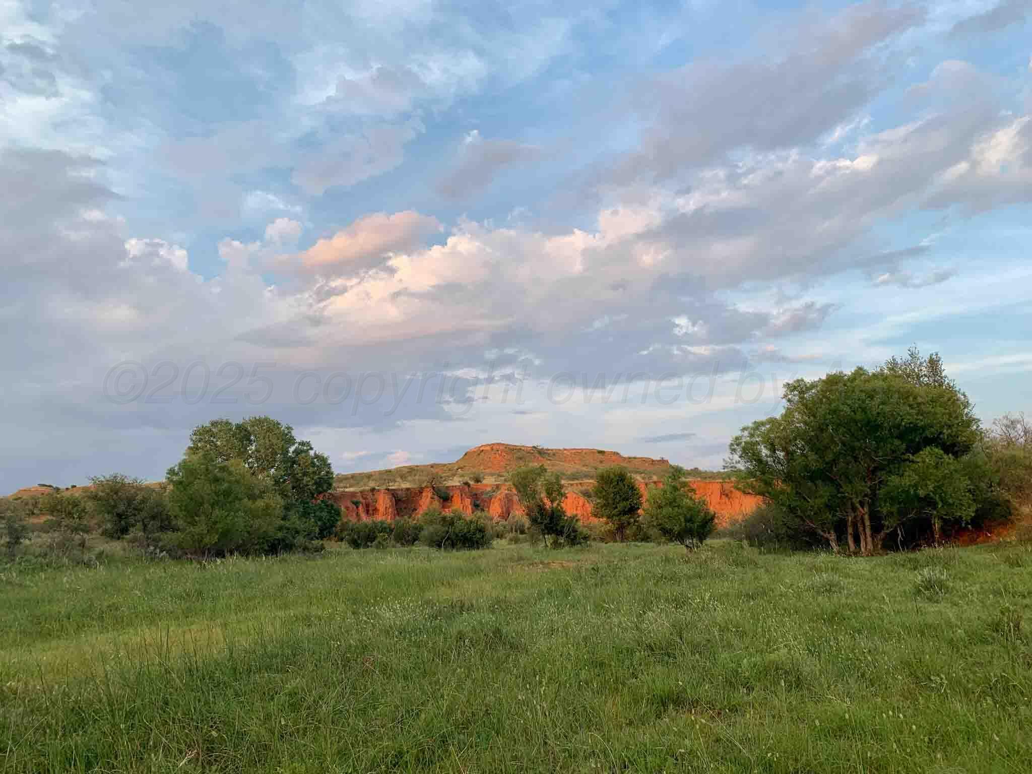 Reeves Ranch Memphis, TX 79245 - Photo 32 of 144 Reeves_Ranch-5