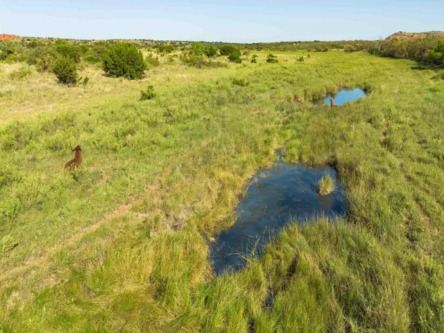 $5,839,250 | Reeves Ranch, Memphis, TX 79245