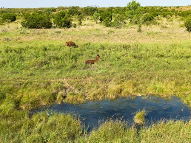 $5,839,250 | Reeves Ranch, Memphis, TX 79245