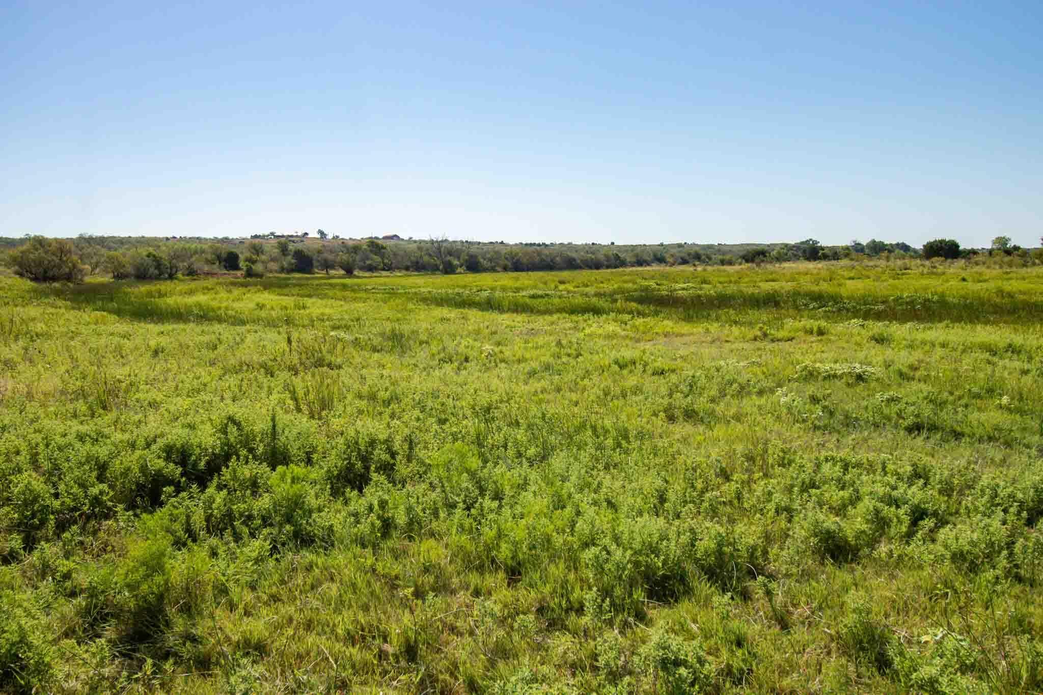 Reeves Ranch Memphis, TX 79245 - Photo 51 of 144 Reeves_Ranch-76