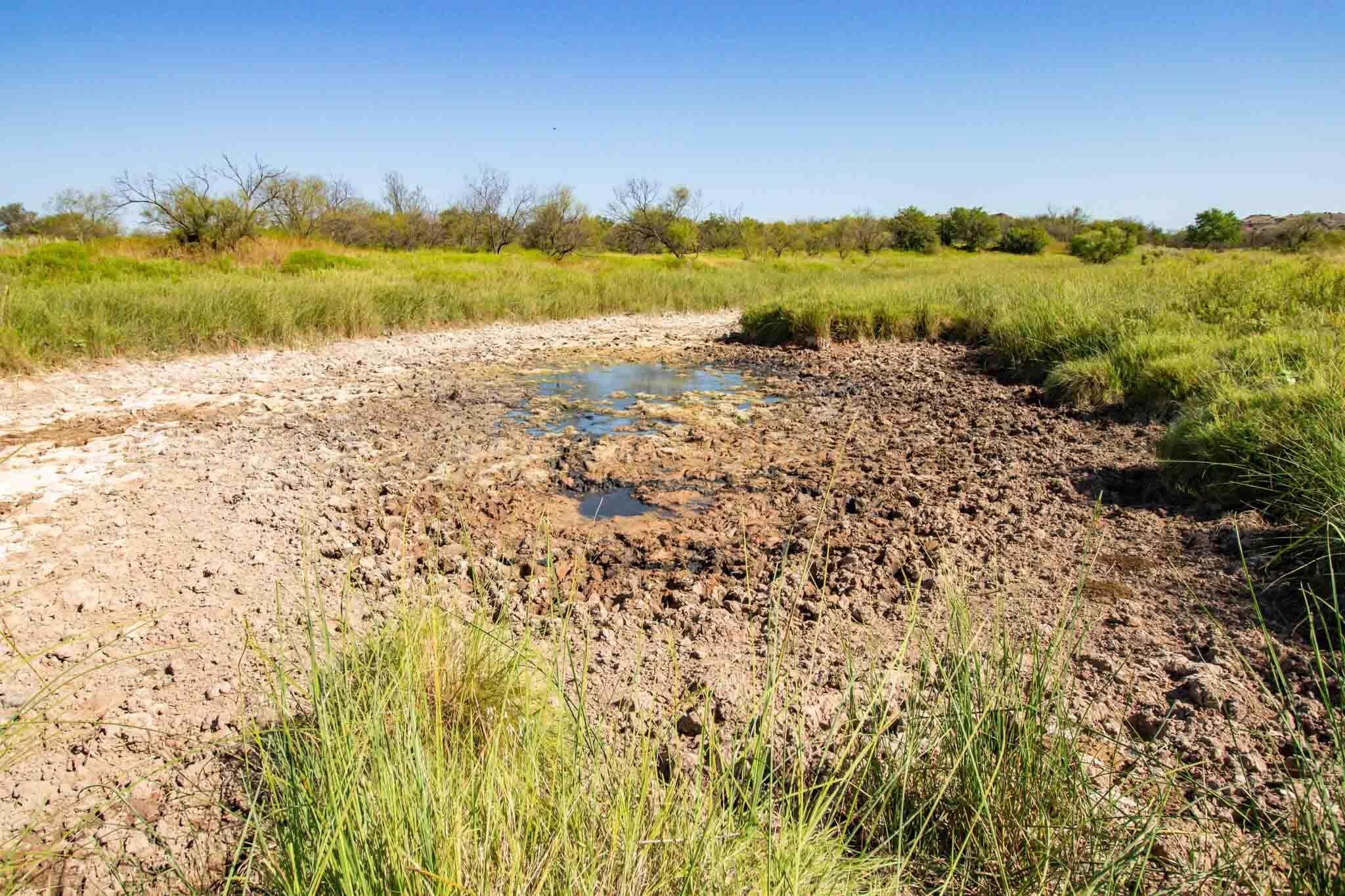 Reeves Ranch Memphis, TX 79245 - Photo 52 of 144 Reeves_Ranch-77