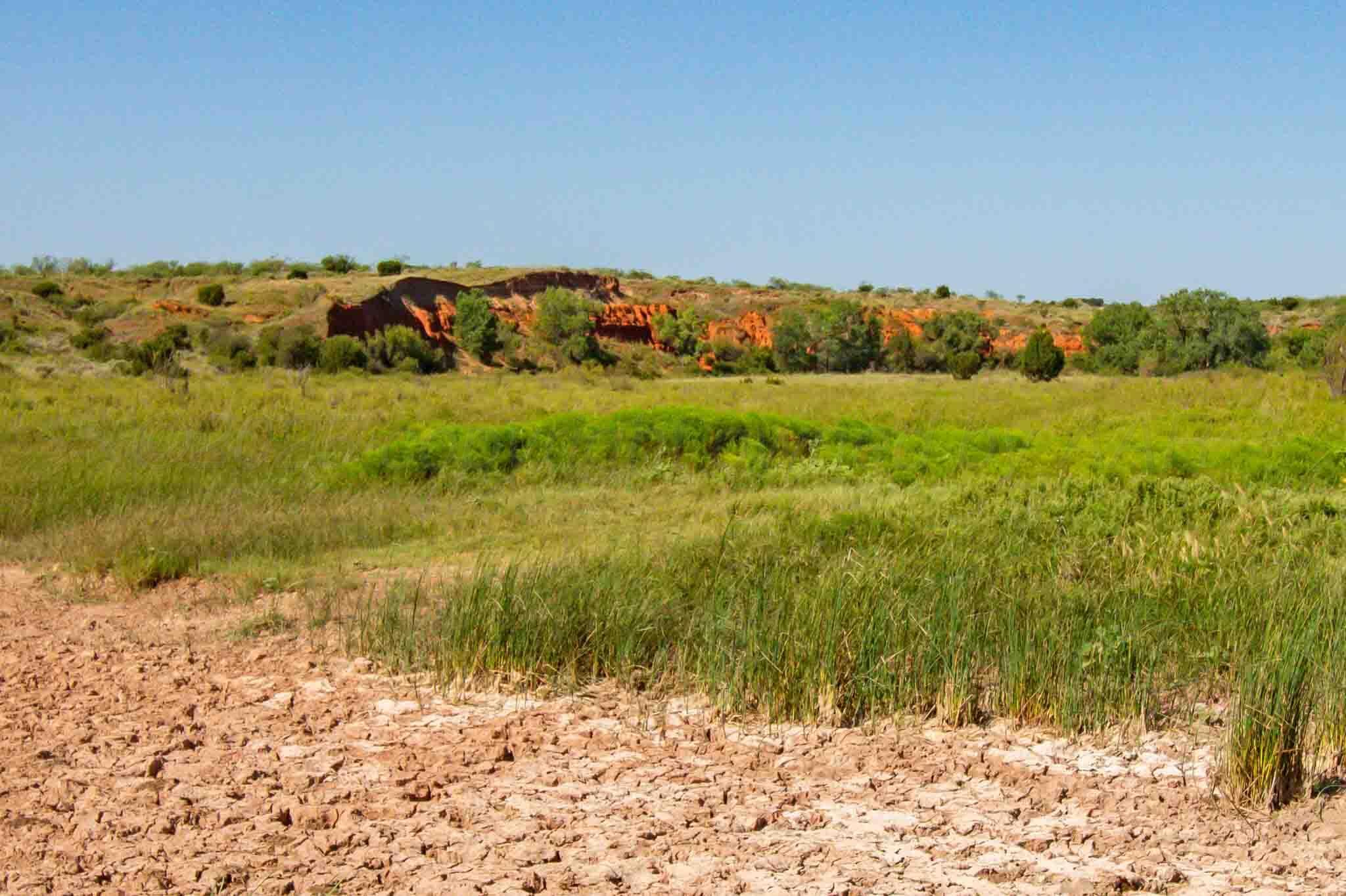 Reeves Ranch Memphis, TX 79245 - Photo 53 of 144 Reeves_Ranch-78
