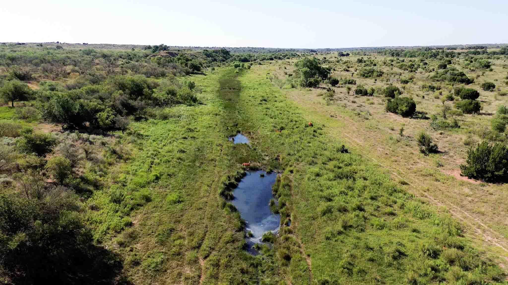 Reeves Ranch Memphis, TX 79245 - Photo 6 of 144 a view of a green field