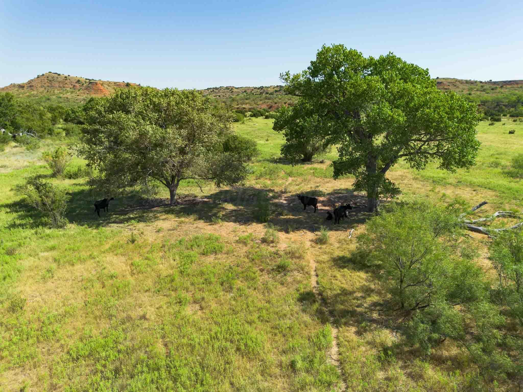 Reeves Ranch Memphis, TX 79245 - Photo 67 of 144 Reeves_Ranch-95