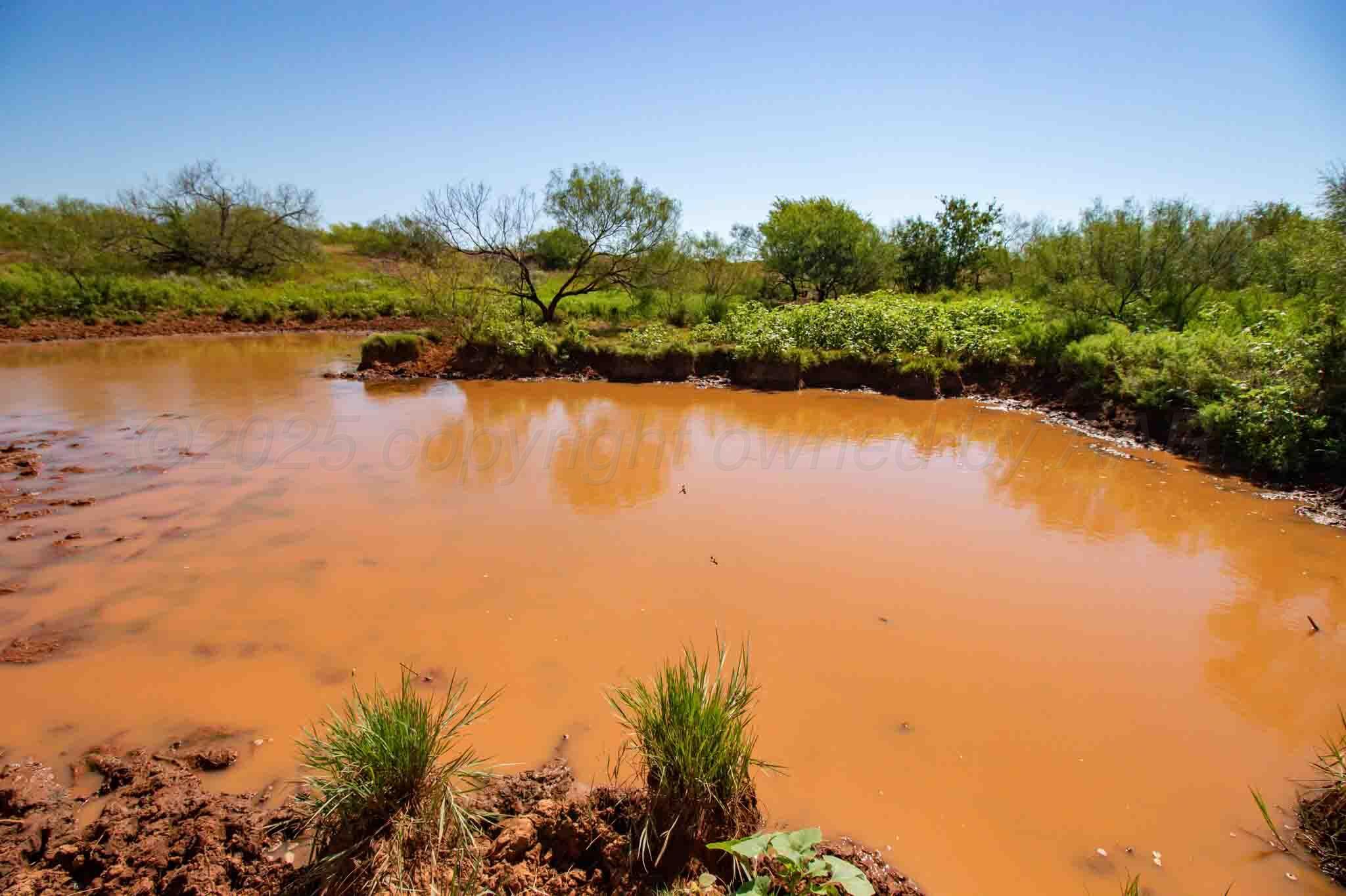 Reeves Ranch Memphis, TX 79245 - Photo 68 of 144 Reeves_Ranch-96