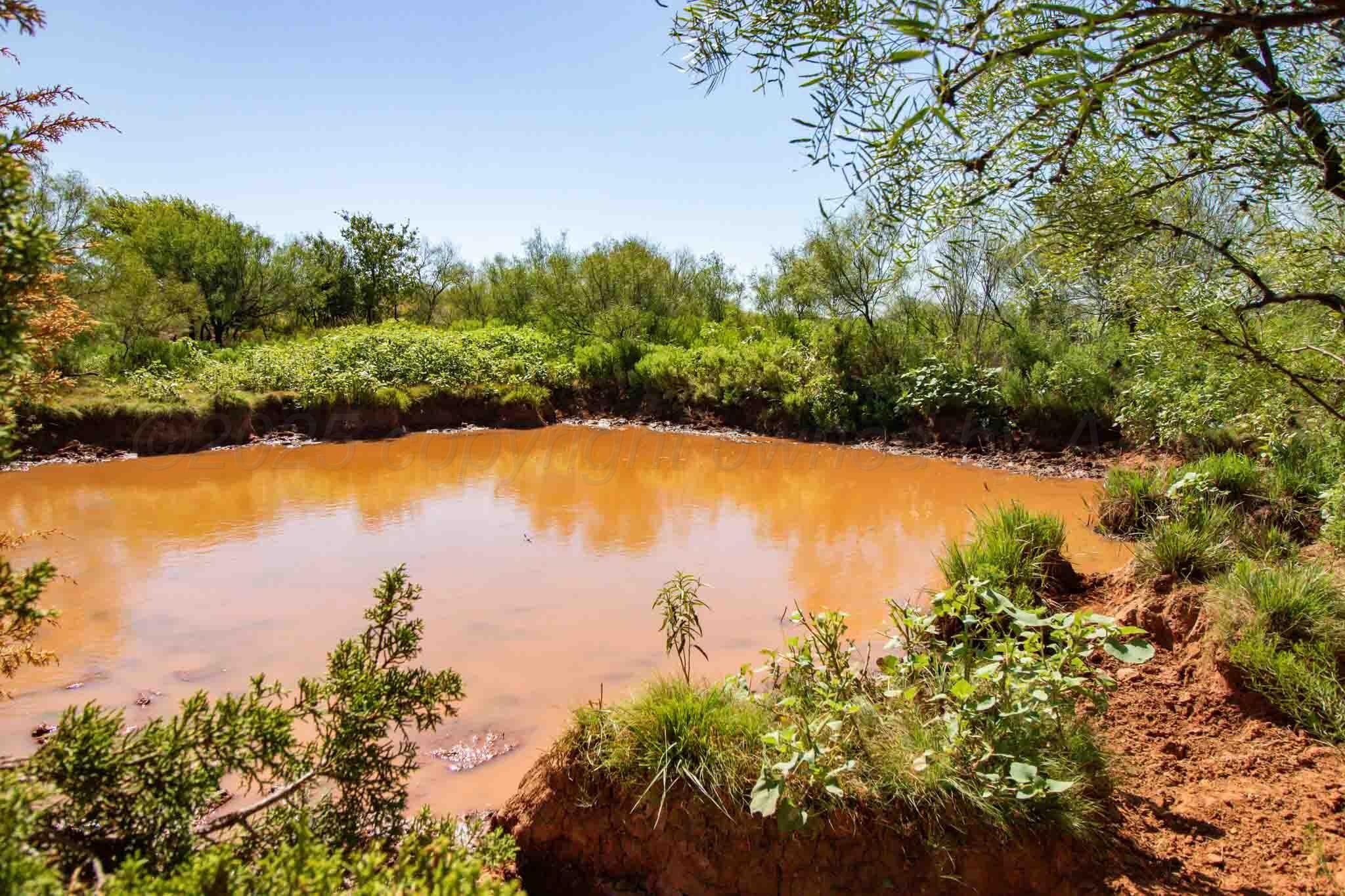 Reeves Ranch Memphis, TX 79245 - Photo 69 of 144 Reeves_Ranch-97