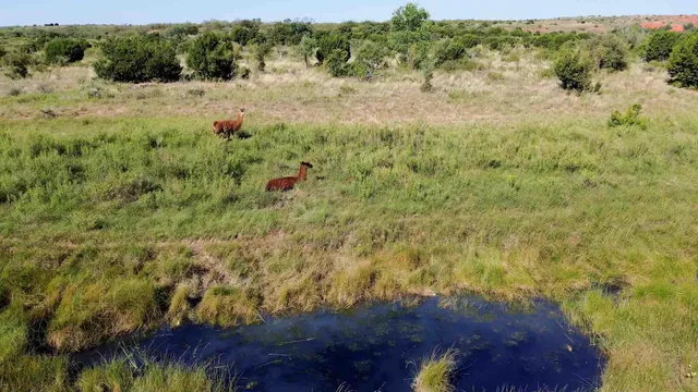 a view of ocean view with beach