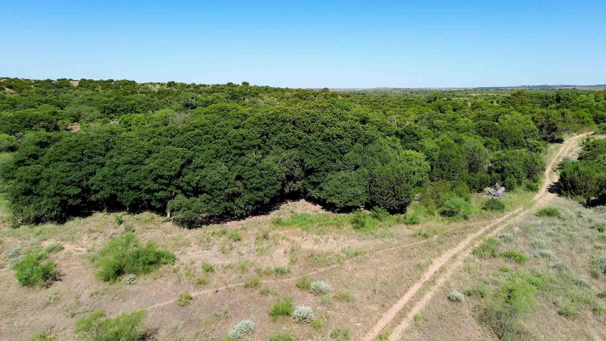 Reeves Ranch Memphis, TX 79245 - Photo 85 of 144 Reeves_Ranch-124