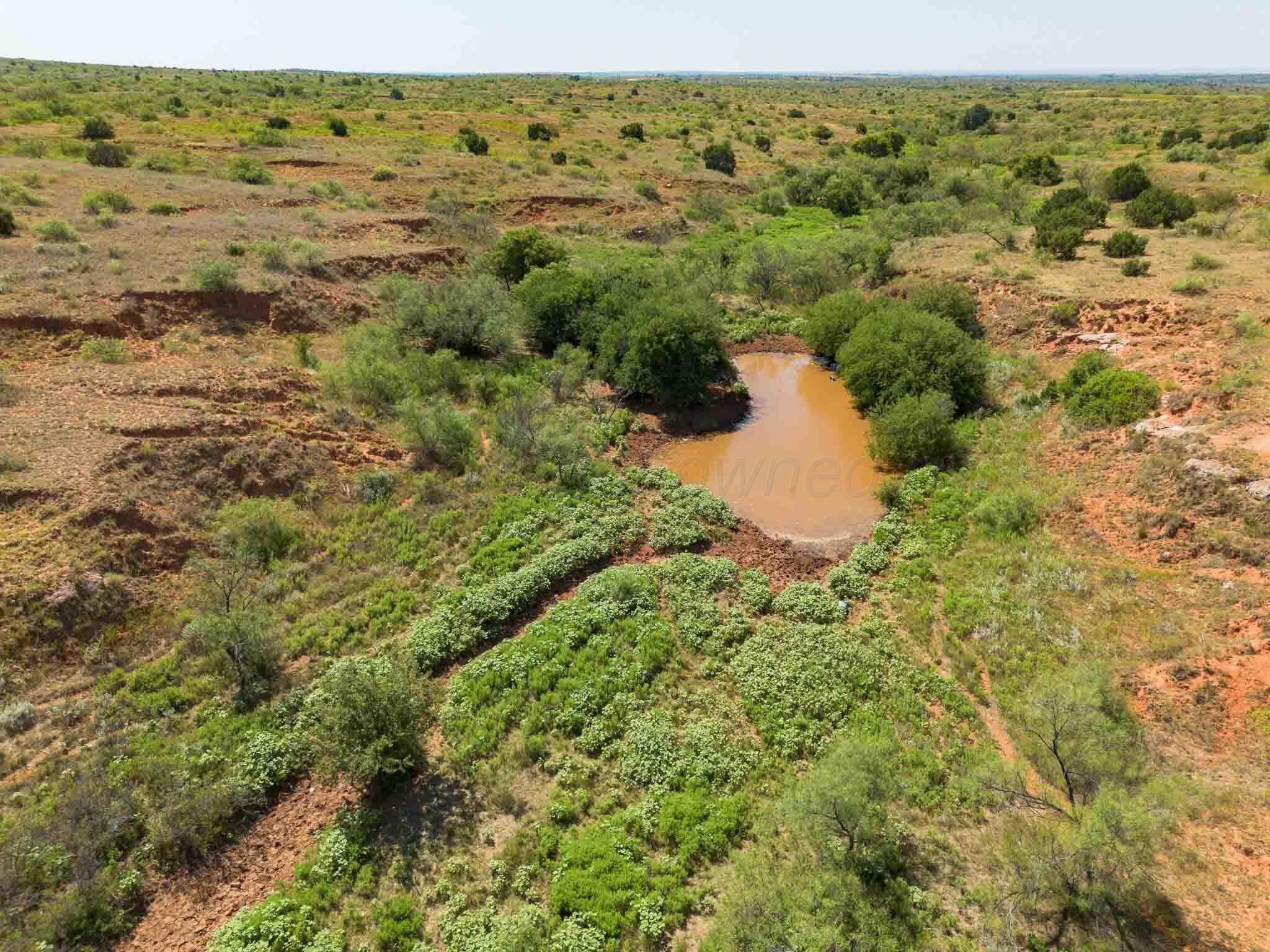 Reeves Ranch Memphis, TX 79245 - Photo 9 of 144 Reeves_Ranch-114