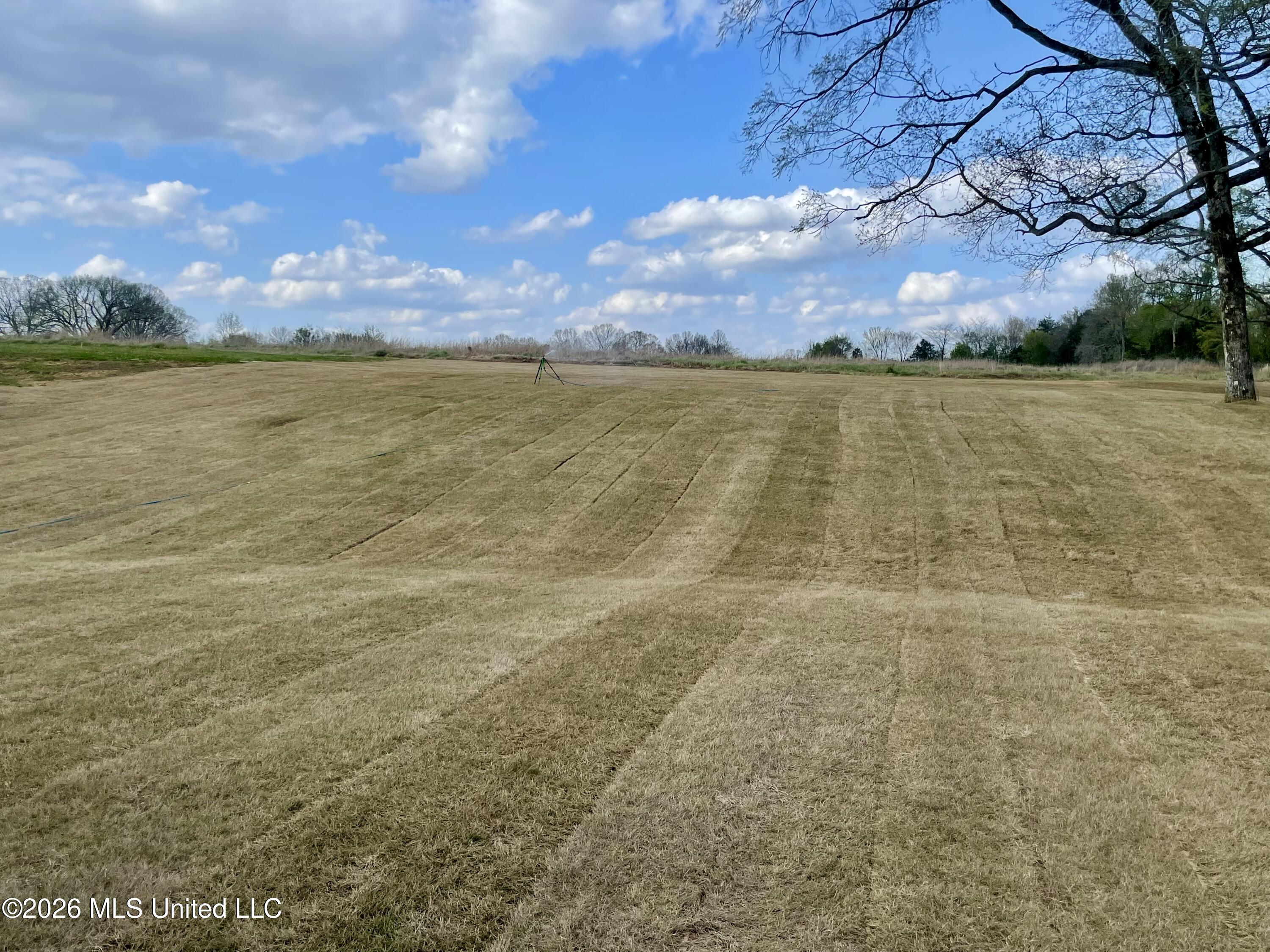 120 Farley Road Byhalia, MS 38611 - Photo 23 of 24 AEFDF2ED-4763-4AE1-B868-56CD1660C4E6