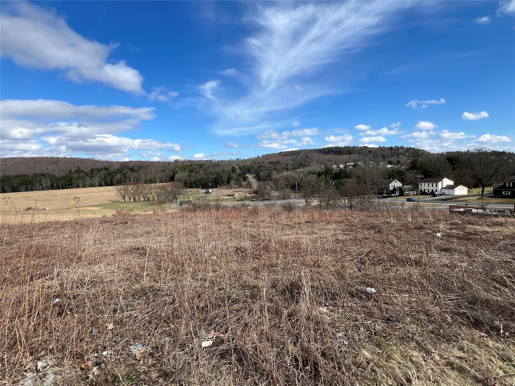 1108 Farm To Market Road Endicott, NY 13760 - Photo 3 of 21