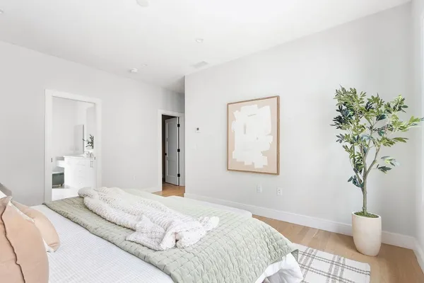 a bedroom with a large bed a potted plant and a window