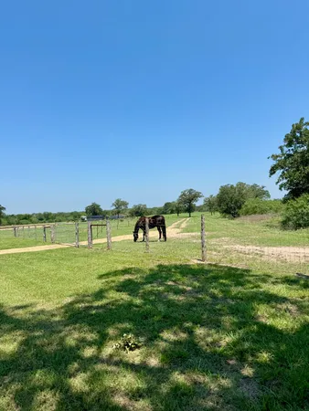 $625,000 | 3389 Sparta Field Road, Waelder, TX 78959