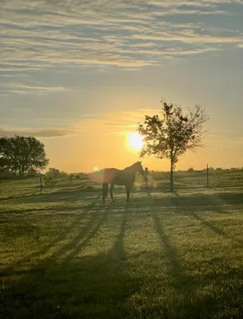 $625,000 | 3389 Sparta Field Road, Waelder, TX 78959